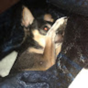 Meet your Posher, Mojo1971